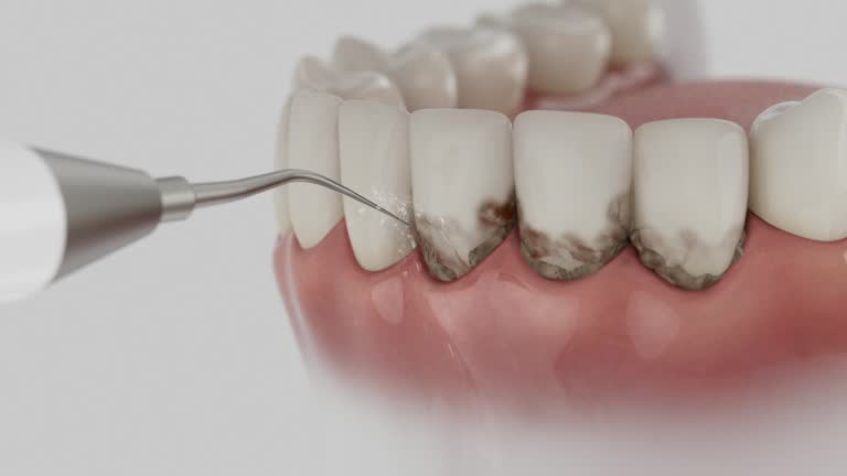 Reliable Dental contractor in Vadnais Heights, MN by Dentist Open Now